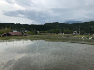 632D2B5F-A9D0-4899-9147-5E30C8509028.jpeg