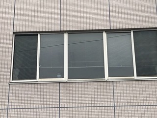 63B8D472-2580-4DA5-88EC-32DFD9DC5976.jpeg